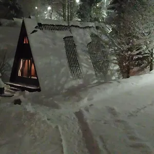 https://freyunger-nurdachhaus.com-bavaria.com